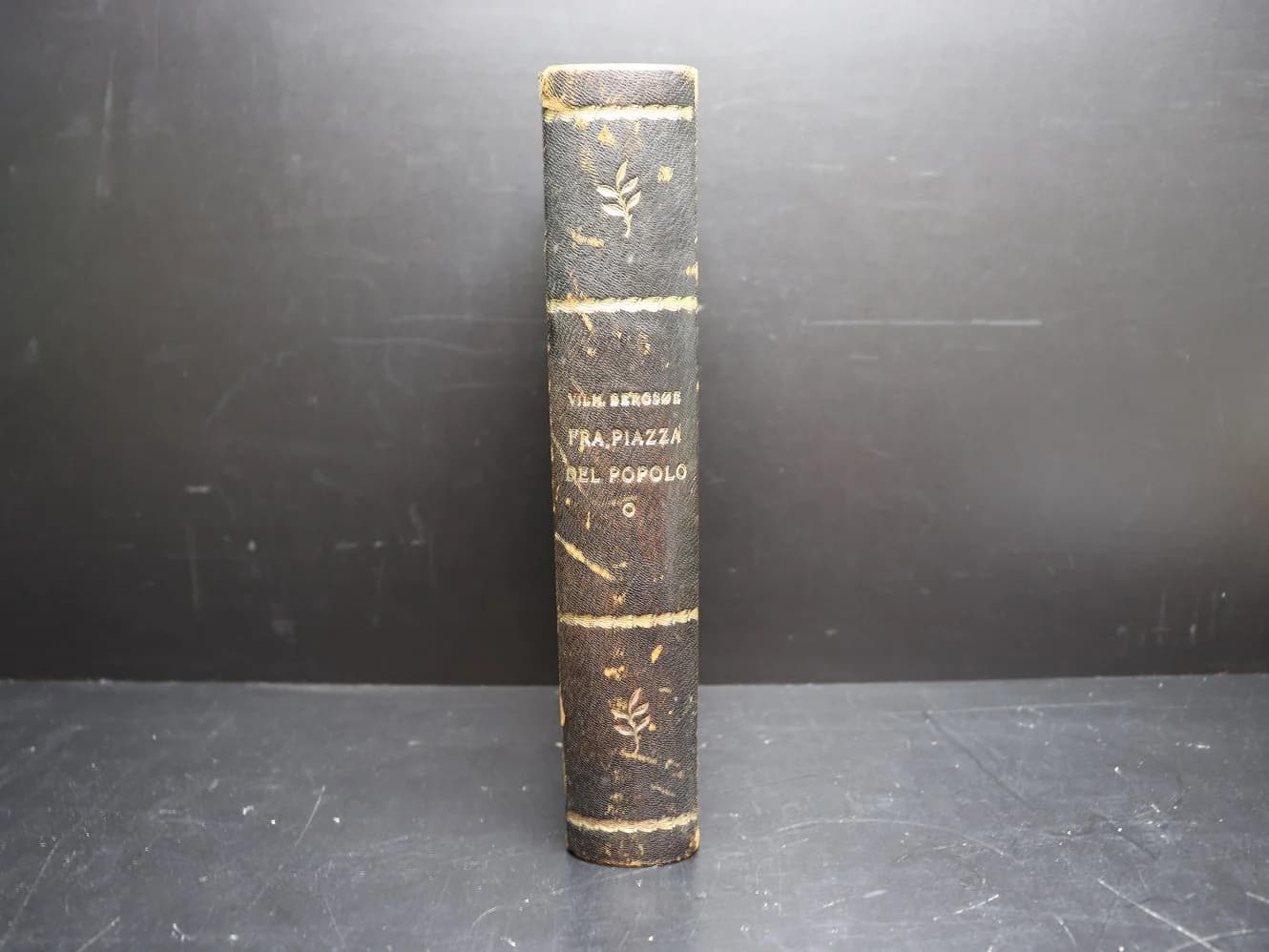 古書｜VILH BERGSOE FRA PIAZZA DEL POPOLO 革装 24.5cm