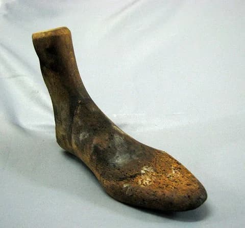 シューツリー｜木製 細身の紳士靴用 20.5cm