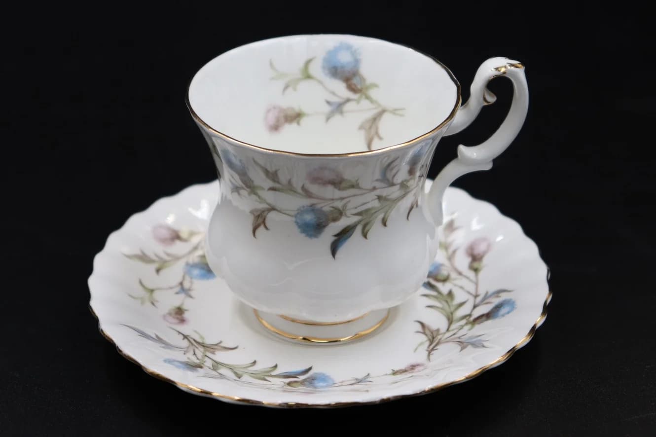 カップ＆ソーサー｜ブリガドーン ROYAL ALBERT（ロイヤルアルバート）