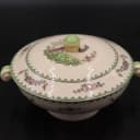 スープチューリン｜ヴィエナ・バード Spode（スポード）