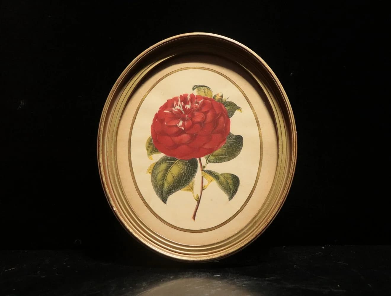 プリント|1930年代 赤いダリアの楕円額 28×33cm